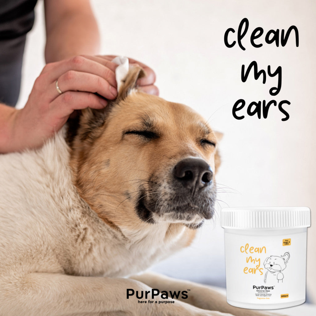 Purpaws Hypoallergenic Pet Eye & Ear Wet Wipes – 200pcs