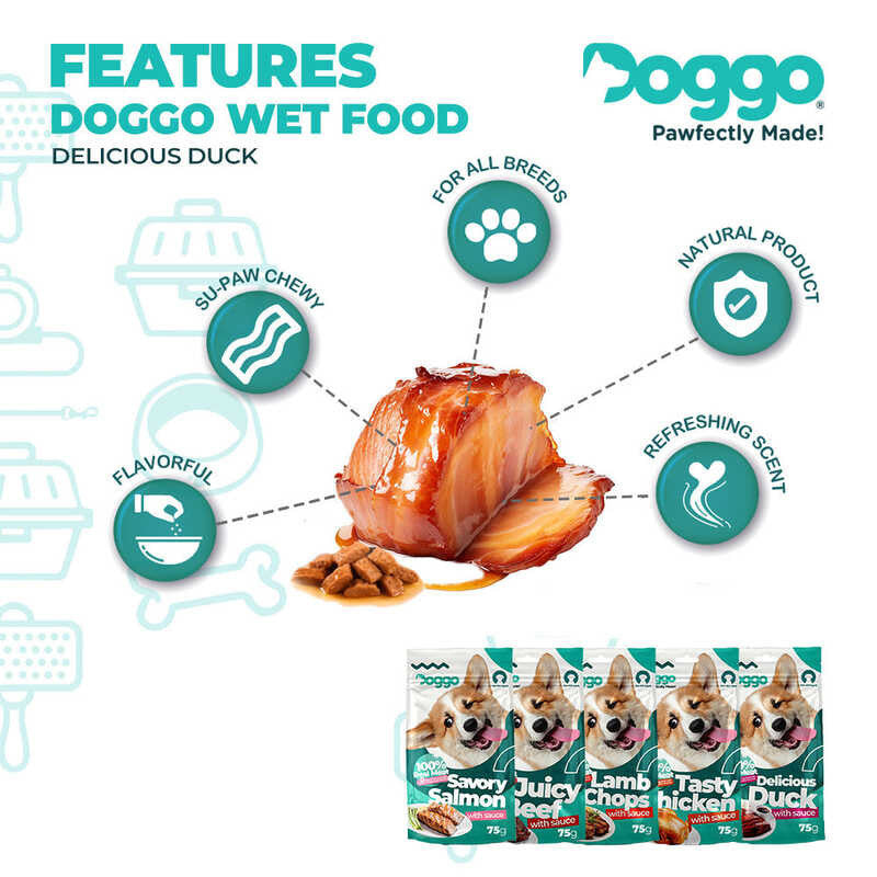 Doggo Delicious Duck With Sauce