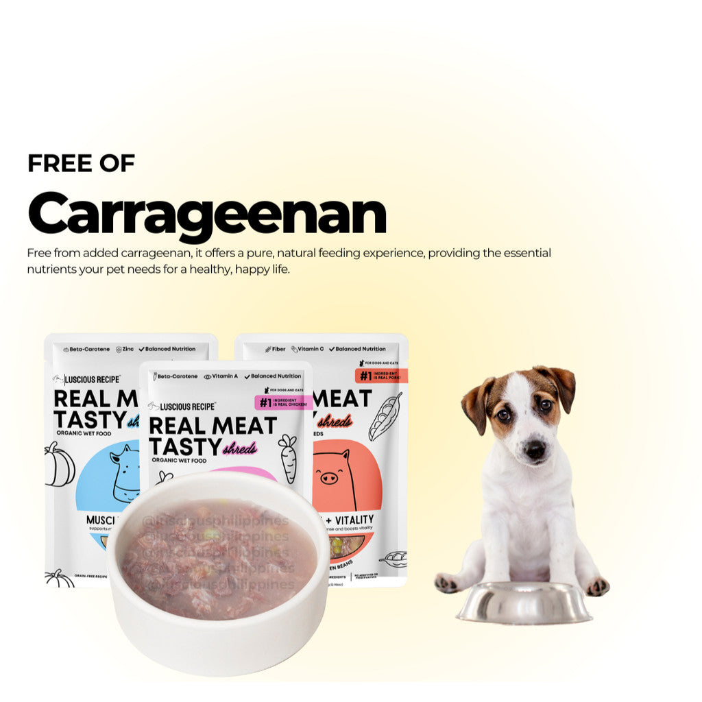 Luscious Recipe Real Meat Organic Wet Food 85g