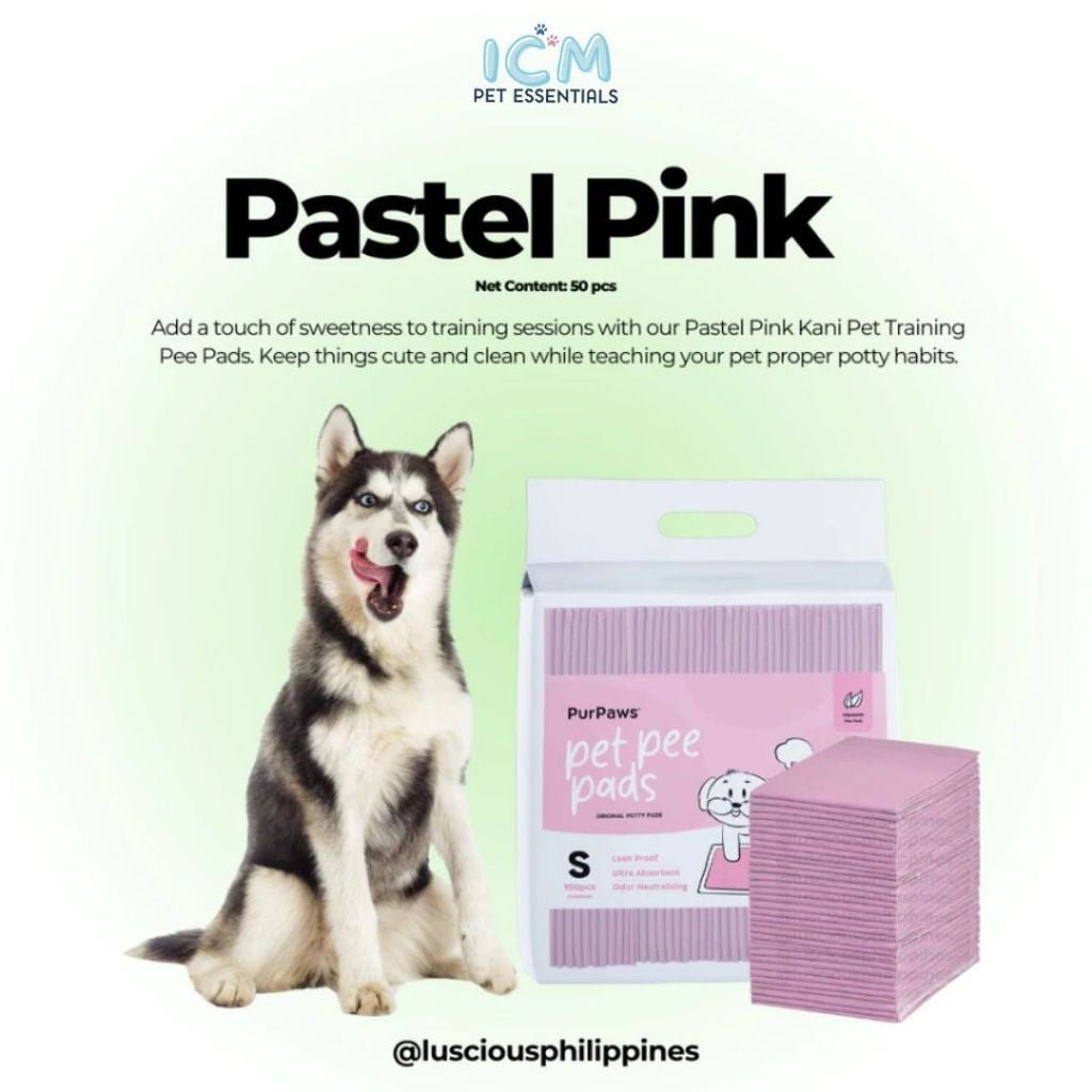 PurPaws Dog Pet Pee Pads – Super absorbent, leak-proof pads