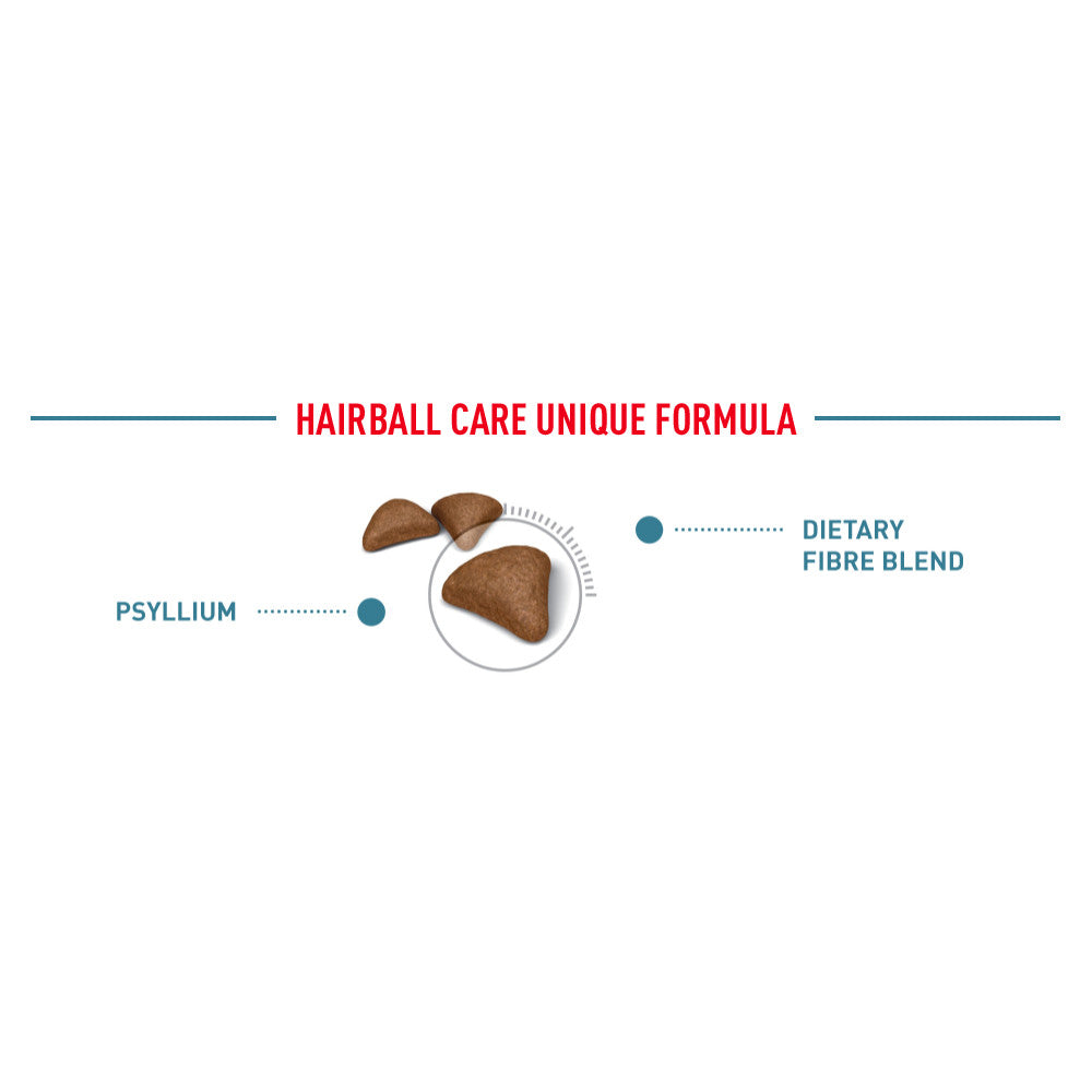 Royal Canin Hairball Care Adult Dry Cat Food 400g
