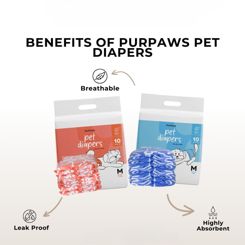 PurPaws Disposable Dog Diaper Male & Female