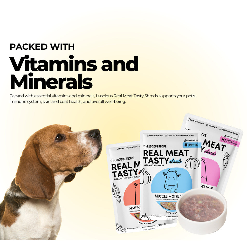 Luscious Recipe Real Meat Organic Wet Food 85g