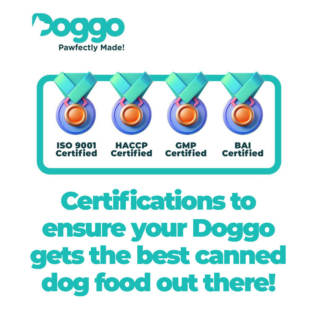 Doggo Organic Braised Beef Canned Dog Food 430g