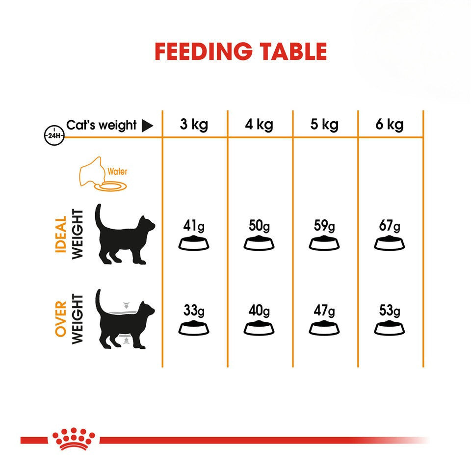 Royal Canin Hair & Skin Care Adult Dry Cat Food 400g