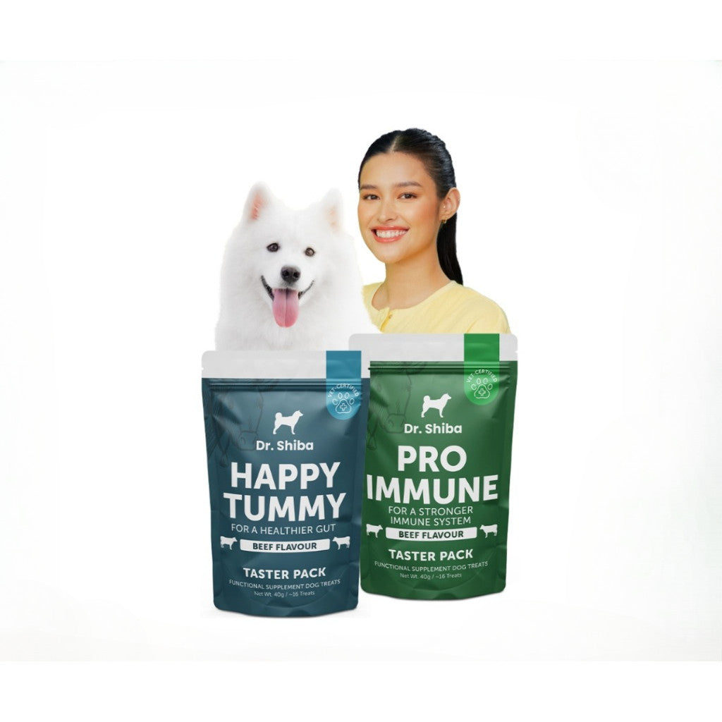 Dr. Shiba Supplement Treats Happy Tummy & Pro Immune Beef 40g