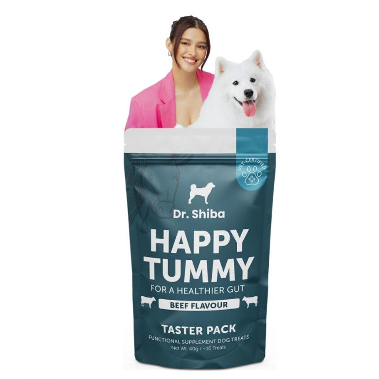 Dr. Shiba Supplement Treats Happy Tummy & Pro Immune Beef 40g