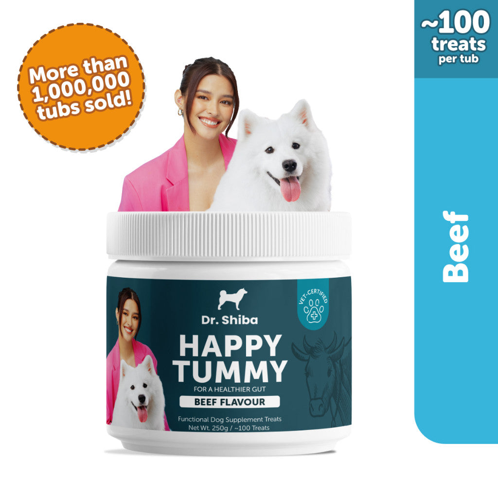 Dr. Shiba Happy Tummy Supplement Treats Beef Flavour 250g