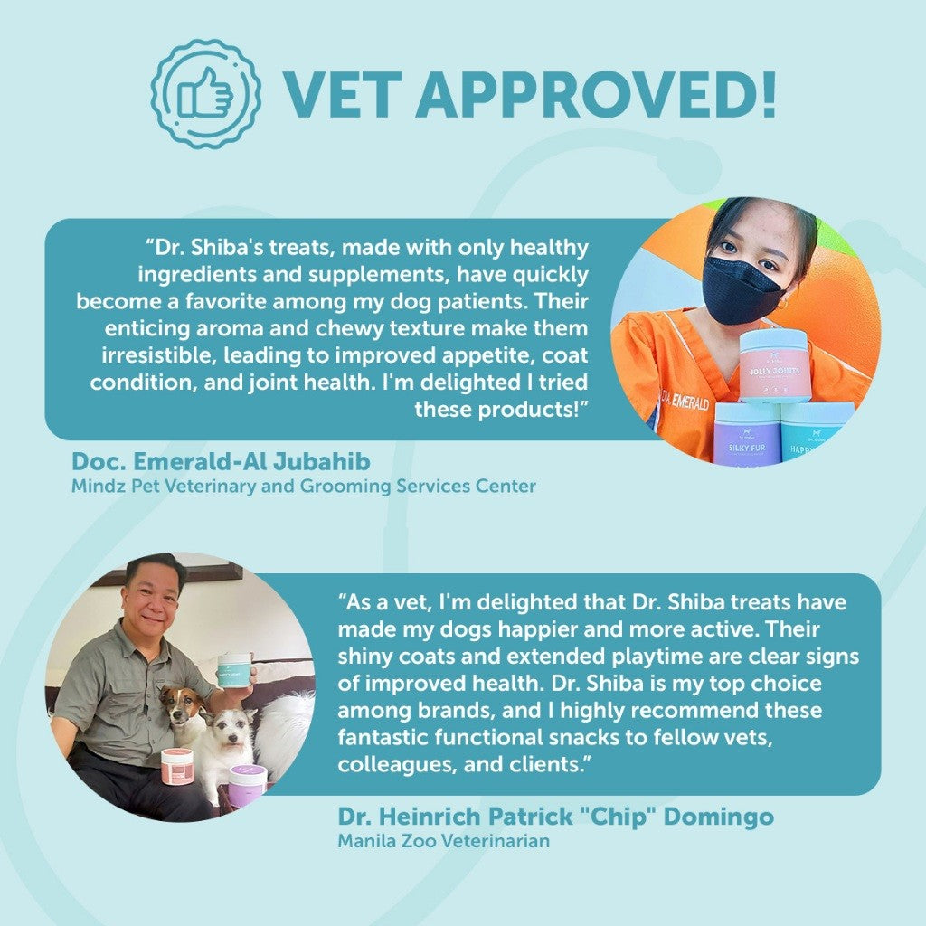 Dr. Shiba Happy Tummy Supplement Treats Beef Flavour 250g