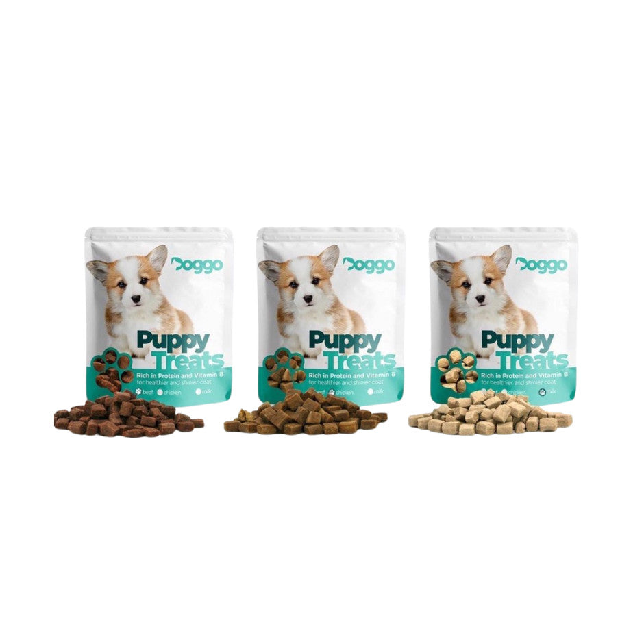 Doggo Cubes Puppy Treats Beef, Chicken & Milk Flavors 87g
