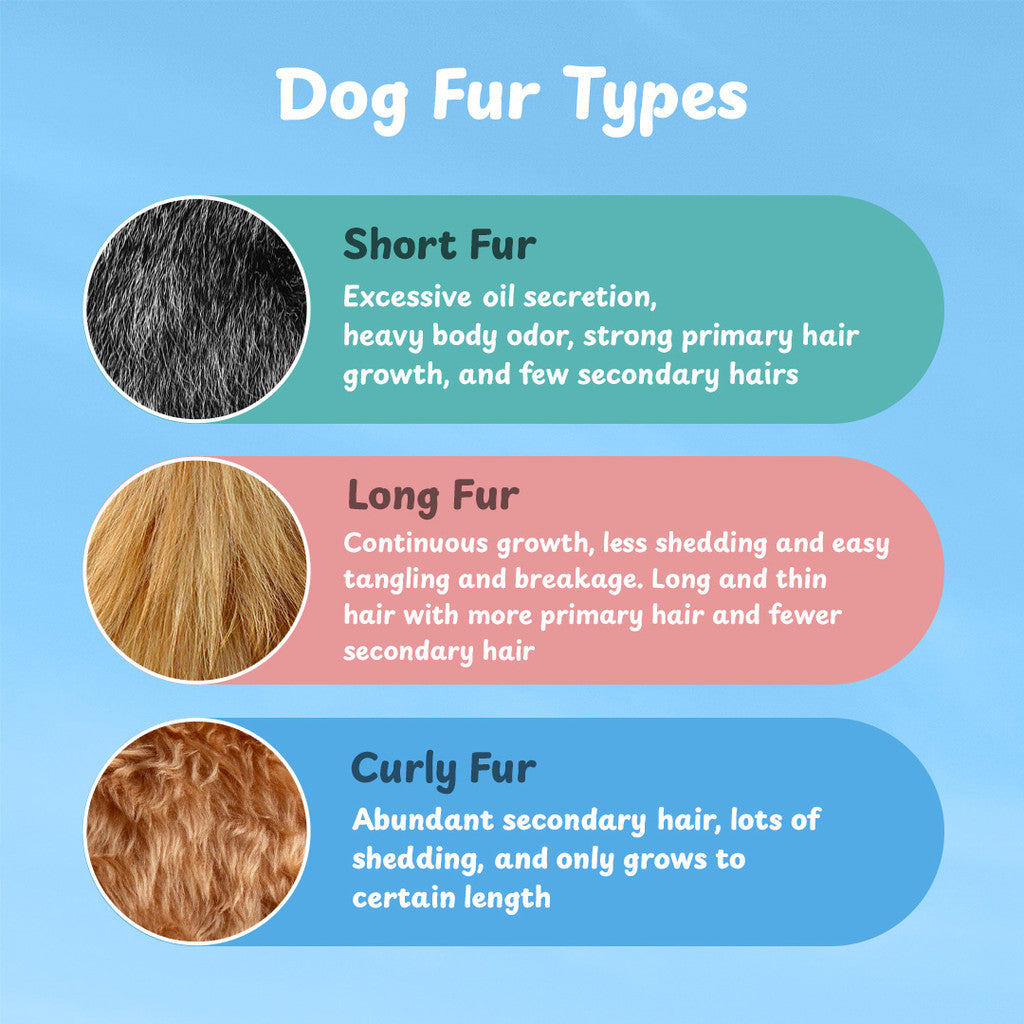 Petsup Amino Acid Pet Shampoo 500ml – Anti-Odor & Itch Relief (4 Variants)