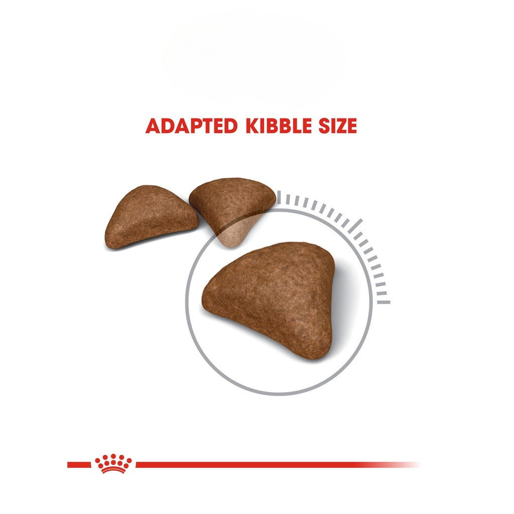 Royal Canin Hairball Care Adult Dry Cat Food 400g