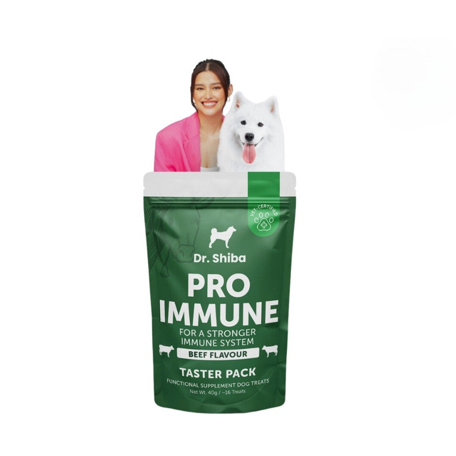 Dr. Shiba Supplement Treats Happy Tummy & Pro Immune Beef 40g