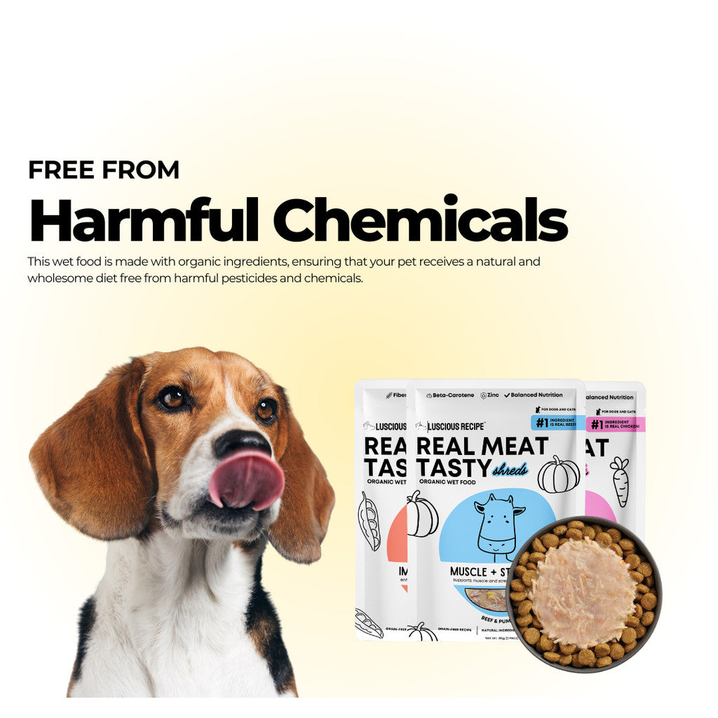 Luscious Recipe Real Meat Organic Wet Food 85g