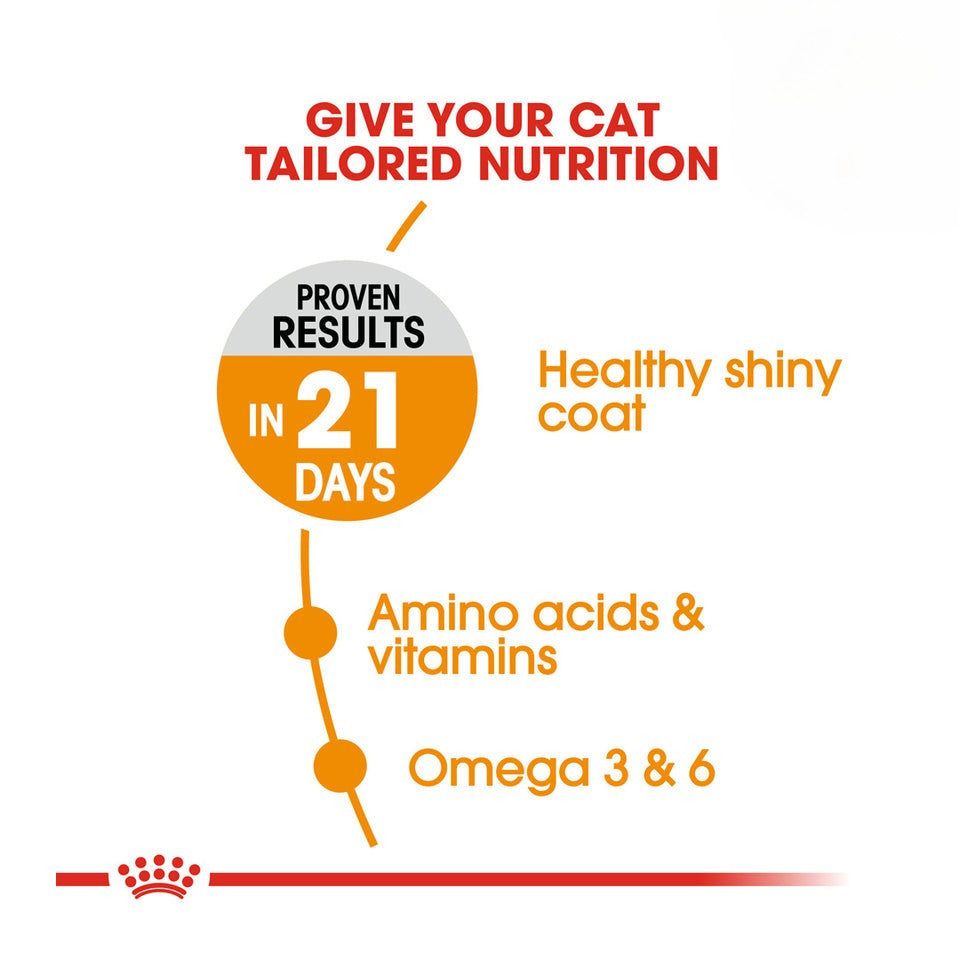 Royal Canin Hair & Skin Care Adult Dry Cat Food 400g