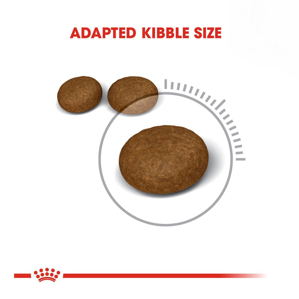 Royal Canin Hair & Skin Care Adult Dry Cat Food 400g