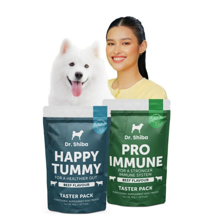 Dr. Shiba Supplement Treats Happy Tummy & Pro Immune Beef 40g