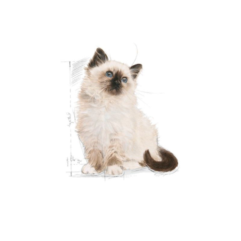 Royal Canin Kitten Dry Cat Food 400g