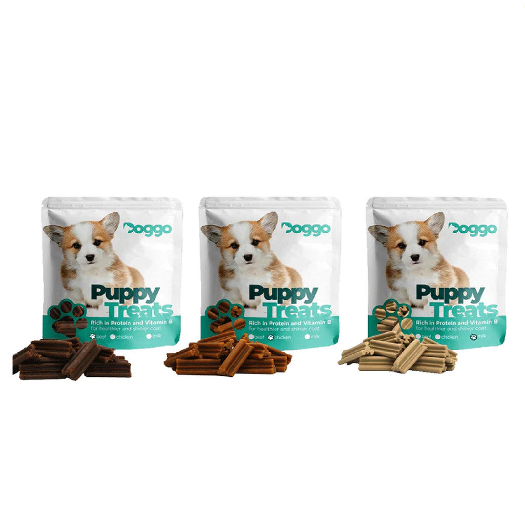 Doggo Dental Sticks l Mini Dental Sticks for Puppies 160g l 82g l 80g (Beef l Chicken l Milk)