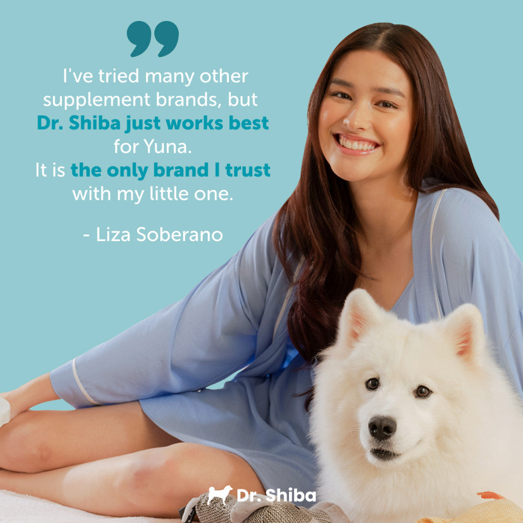 Dr. Shiba Happy Tummy Supplement Treats Beef Flavour 250g