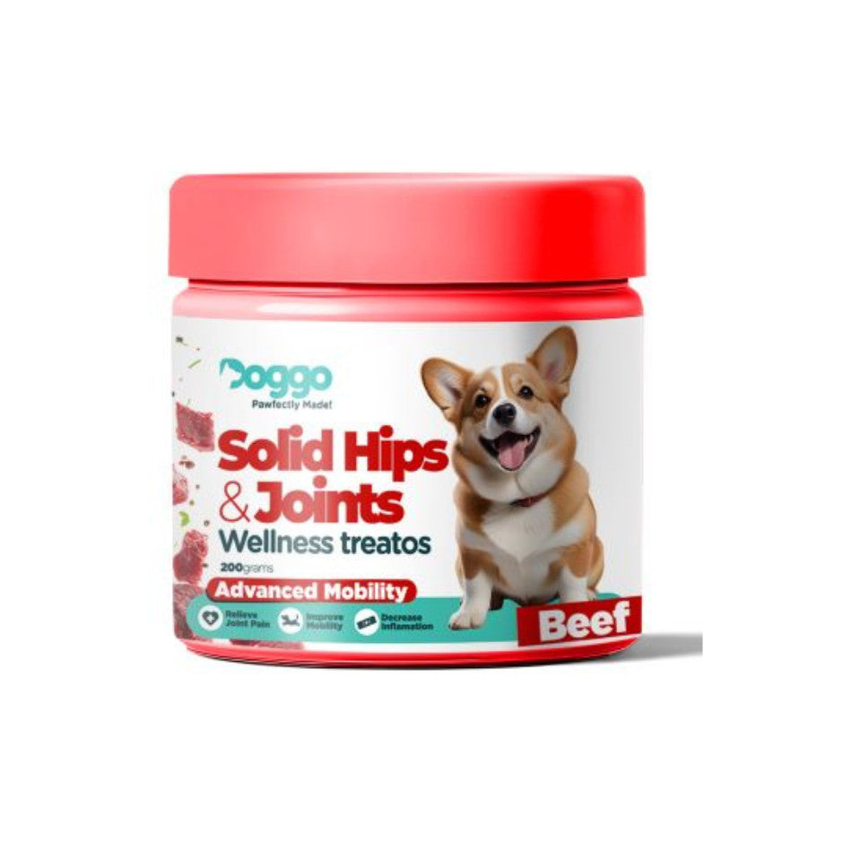 Doggo Wellness Treatos Healthy Dog Treats 200g (All 4 Variants)