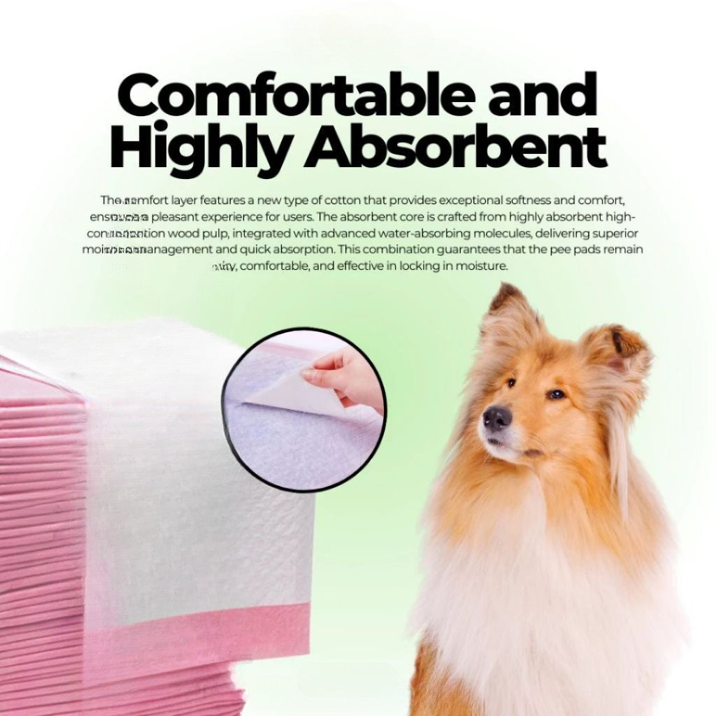 PurPaws Dog Pet Pee Pads – Super absorbent, leak-proof pads