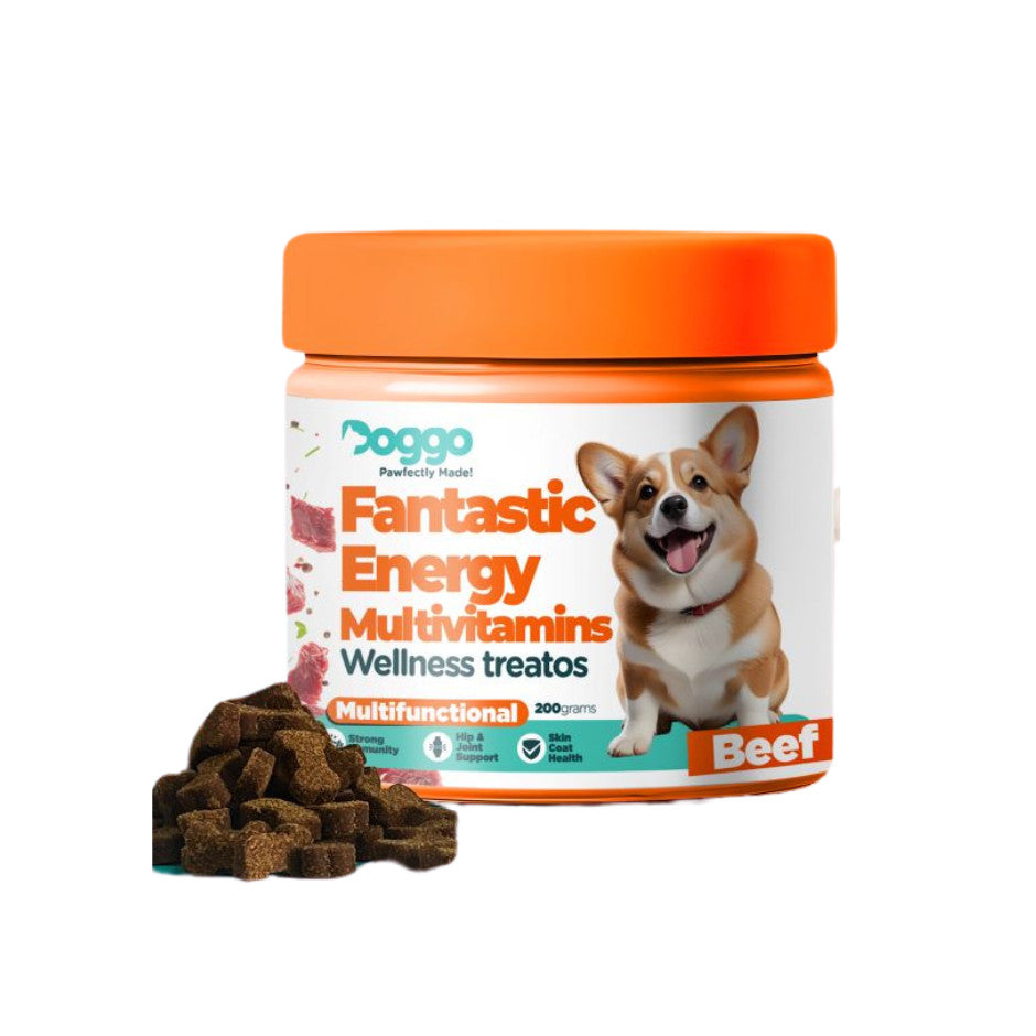 Doggo Wellness Treatos Healthy Dog Treats 200g (All 4 Variants)