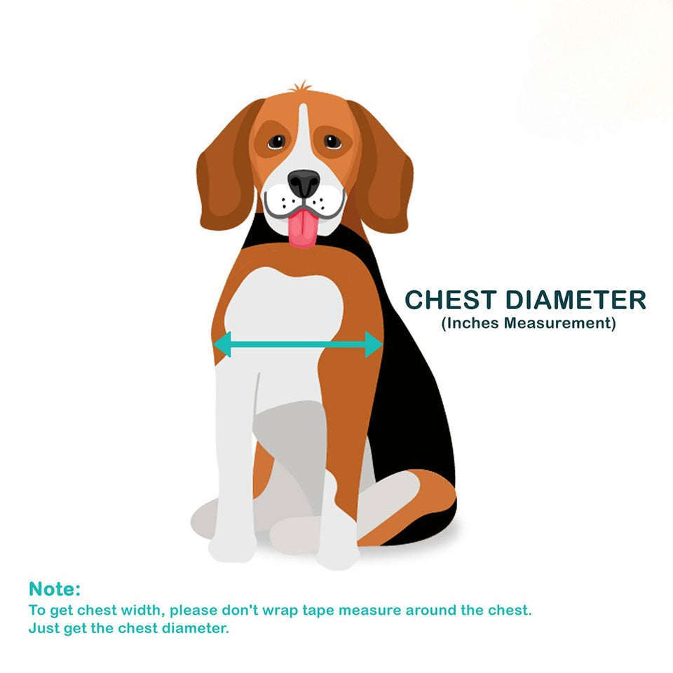 Doggo Denim Strong Harness Medium Blue