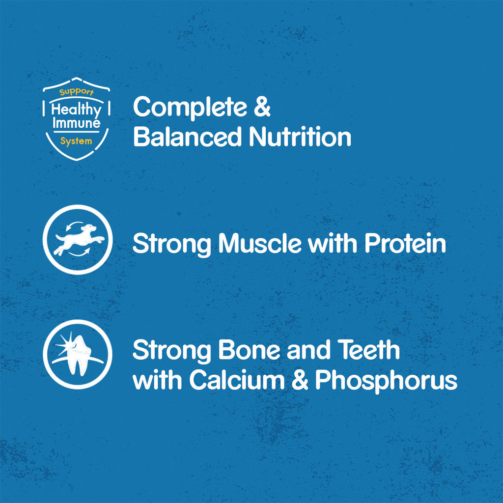 Pedigree Wet Dog Food Pouch Beef Chunks in Gravy 130g