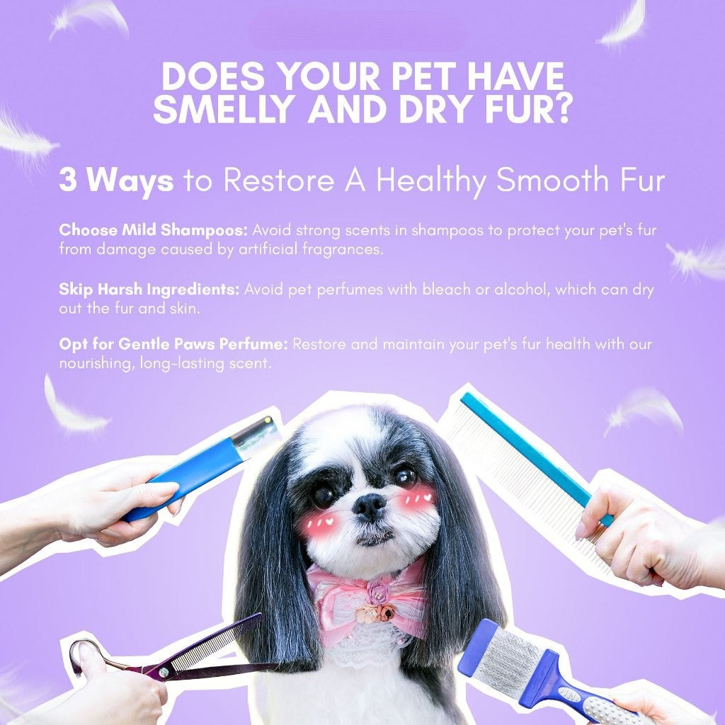 Gentle Paws Plant-Based Pet Perfume 100ml