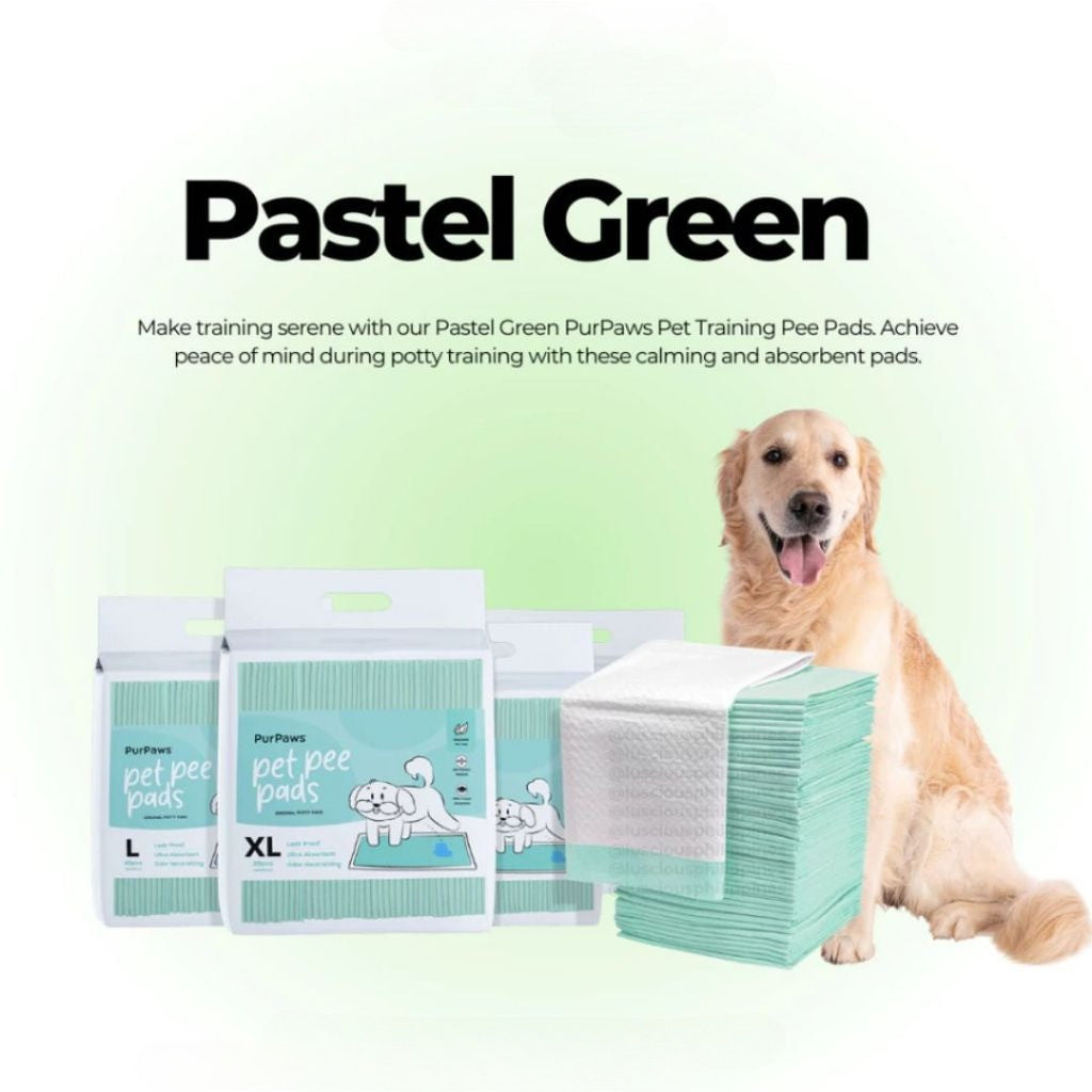 PurPaws Dog Pet Pee Pads – Super absorbent, leak-proof pads