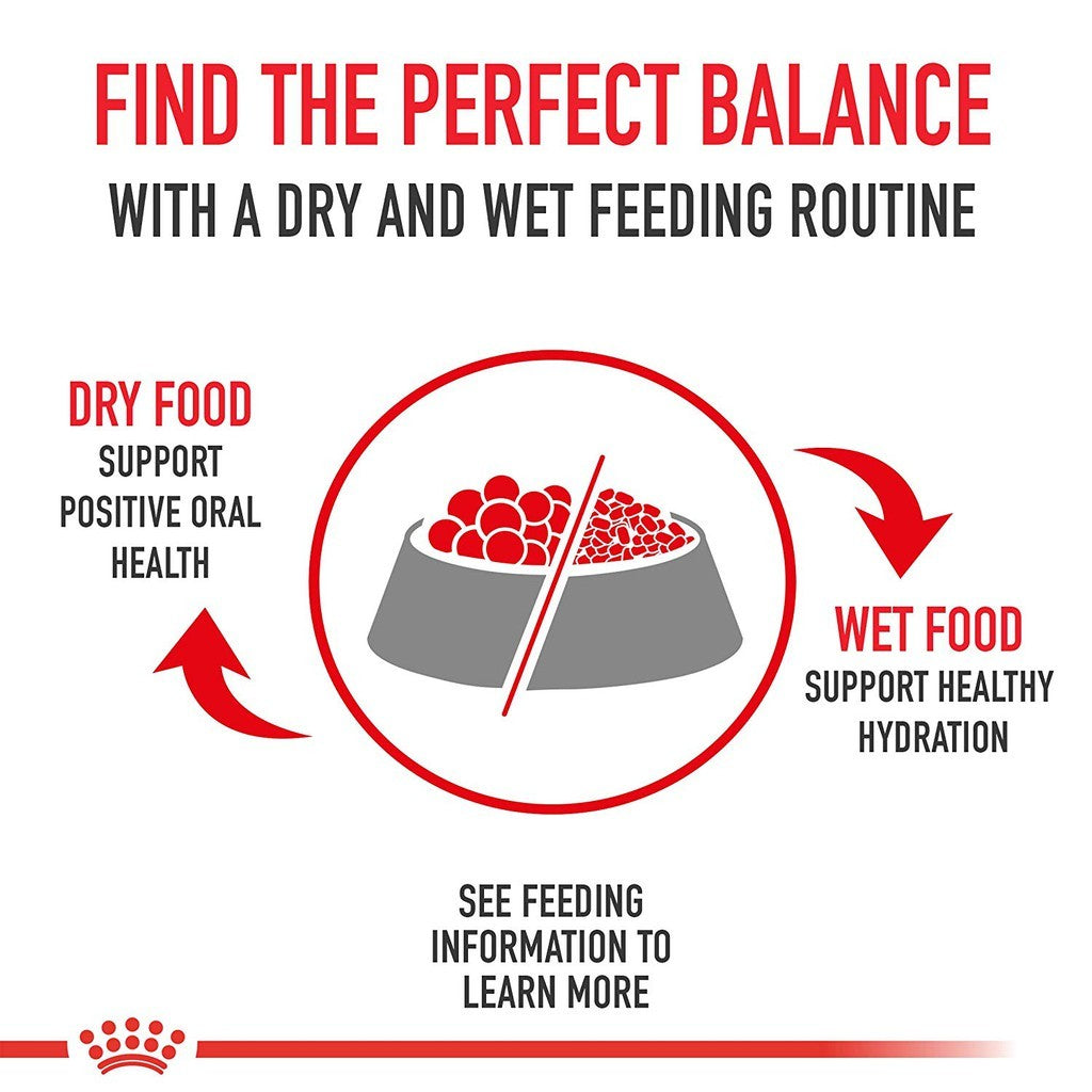 Royal Canin Hair & Skin Care 2kg