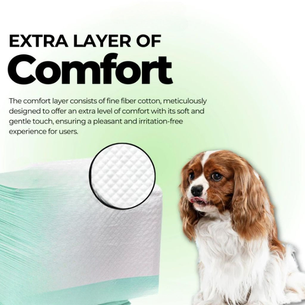 PurPaws Dog Pet Pee Pads – Super absorbent, leak-proof pads