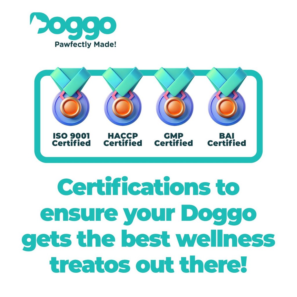 Doggo Wellness Treatos Healthy Dog Treats 200g (All 4 Variants)