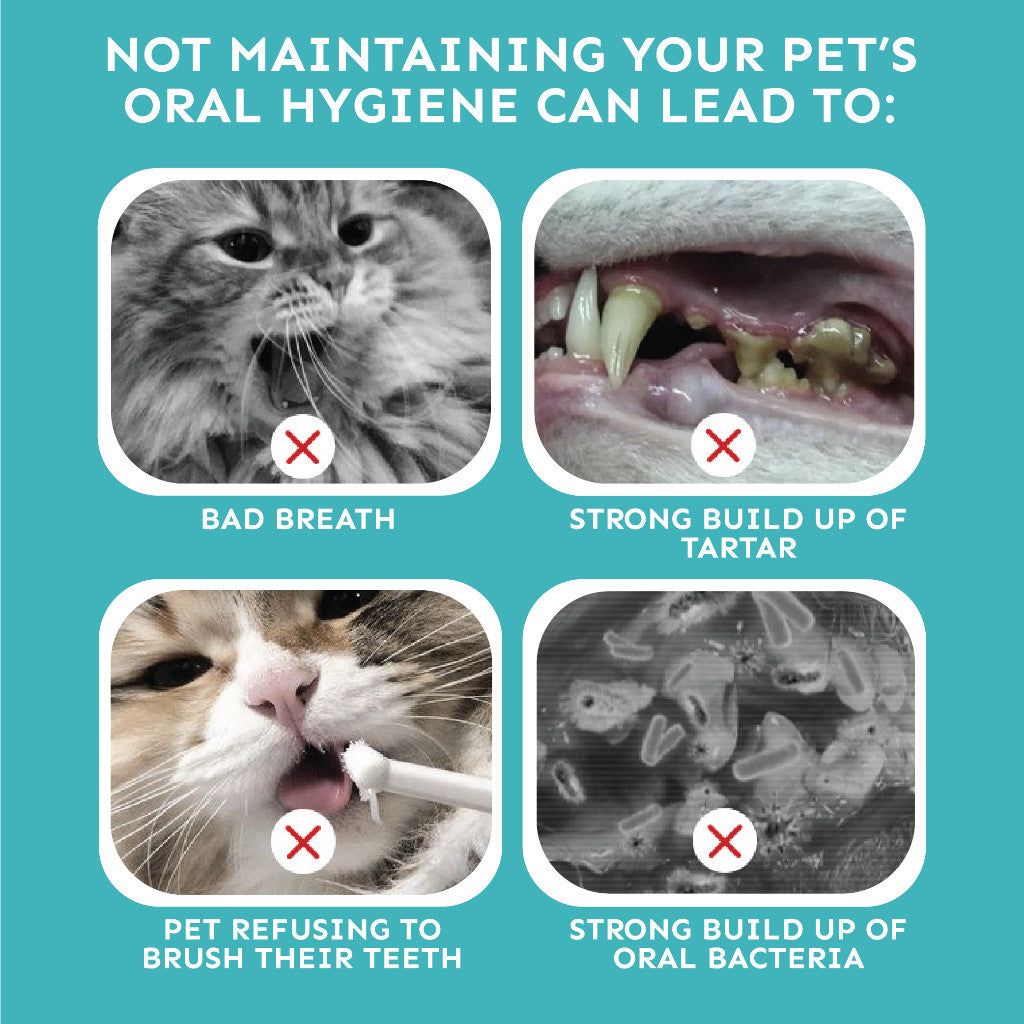 Petsup Pet Oral Deodorant Spray 120ml – Dental & Mouth Care for Cats & Dogs