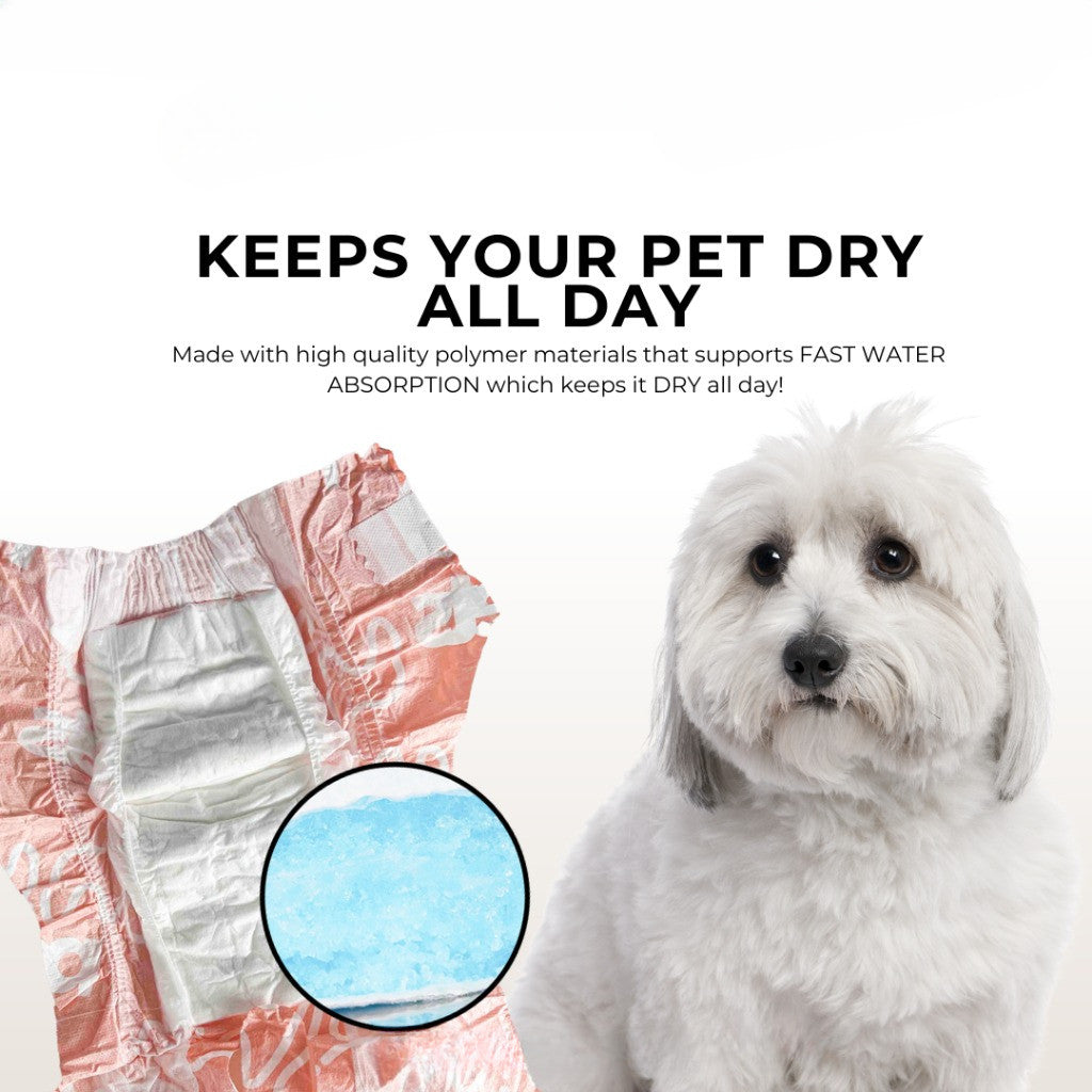 PurPaws Disposable Dog Diaper Male & Female