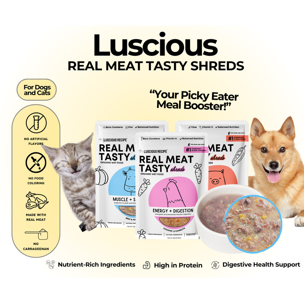 Luscious Recipe Real Meat Organic Wet Food 85g