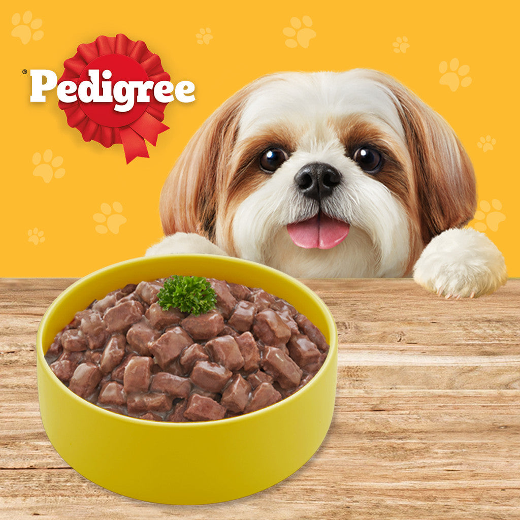Pedigree Wet Dog Food Pouch Beef Chunks in Gravy 130g