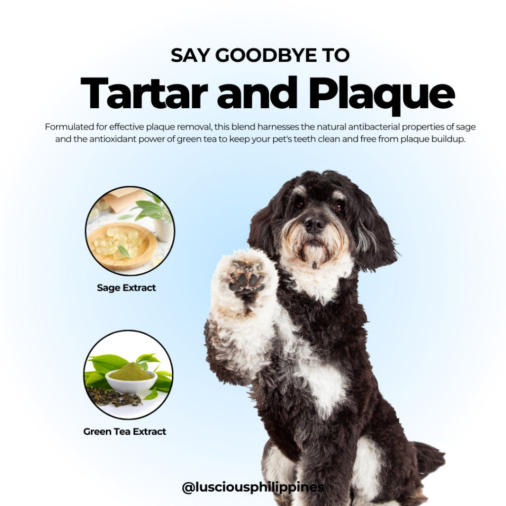 Gentle Paws Organic Pet Mouthwash Fresh Breath Oral Care 60ml