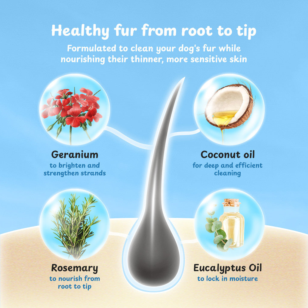 Petsup Amino Acid Pet Shampoo 500ml – Anti-Odor & Itch Relief (4 Variants)