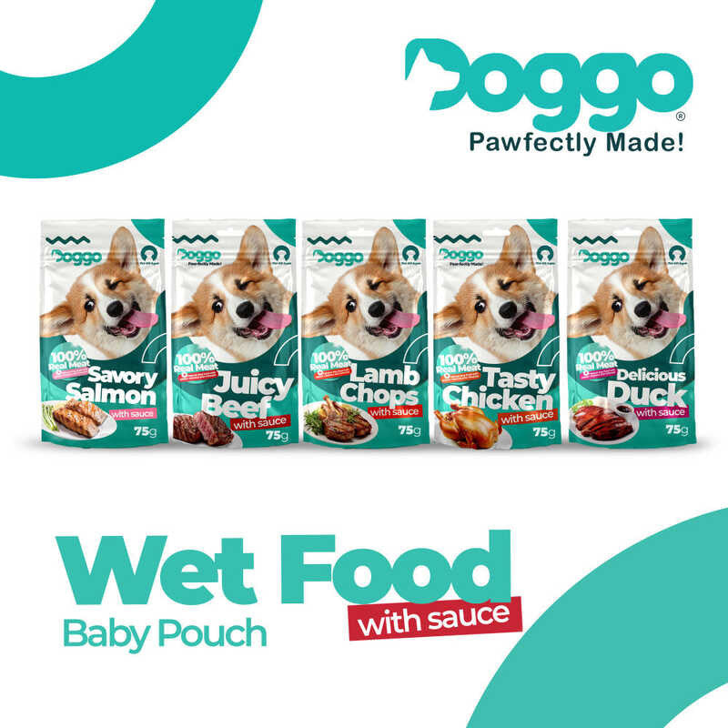 Doggo Delicious Duck With Sauce