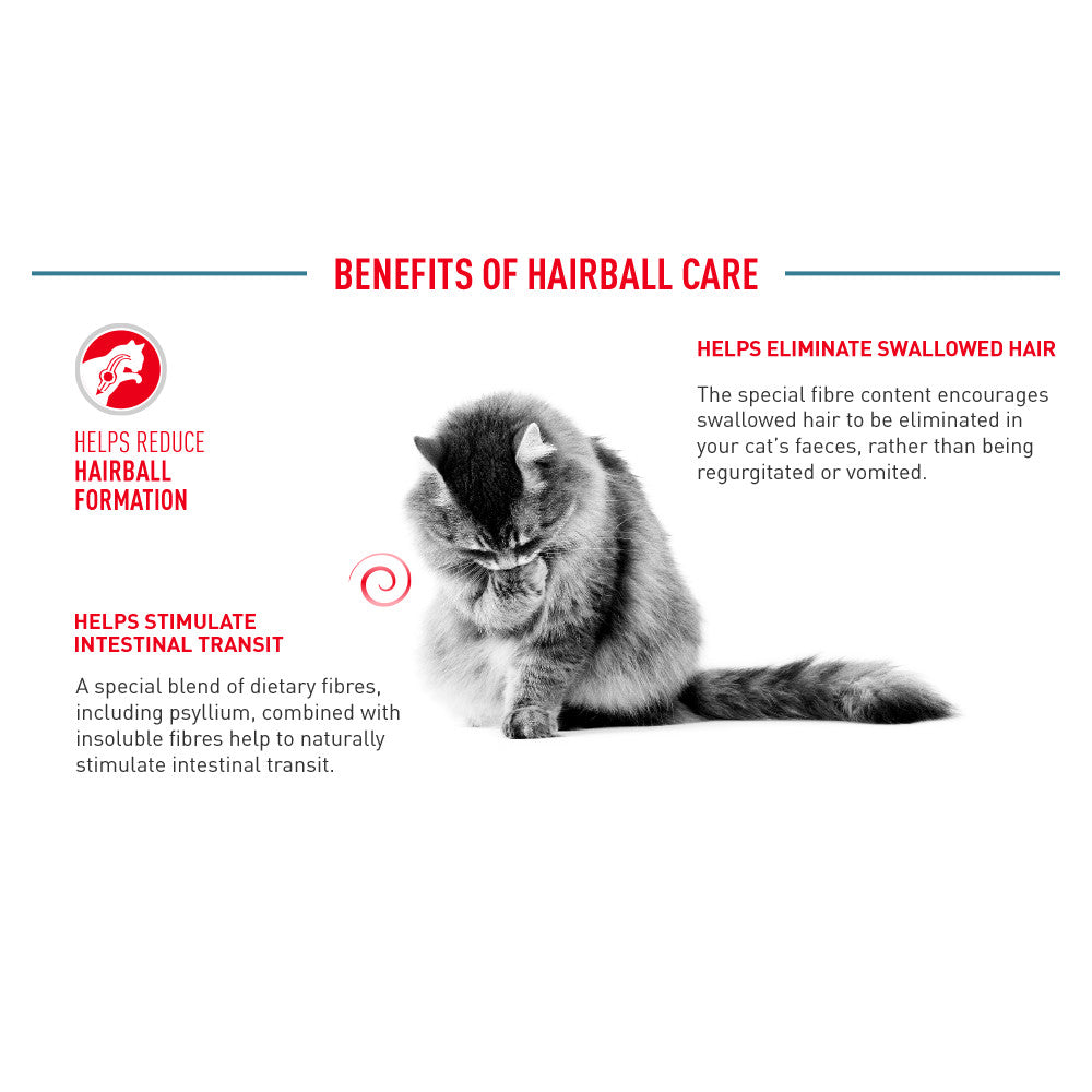 Royal Canin Hairball Care Adult Dry Cat Food 400g