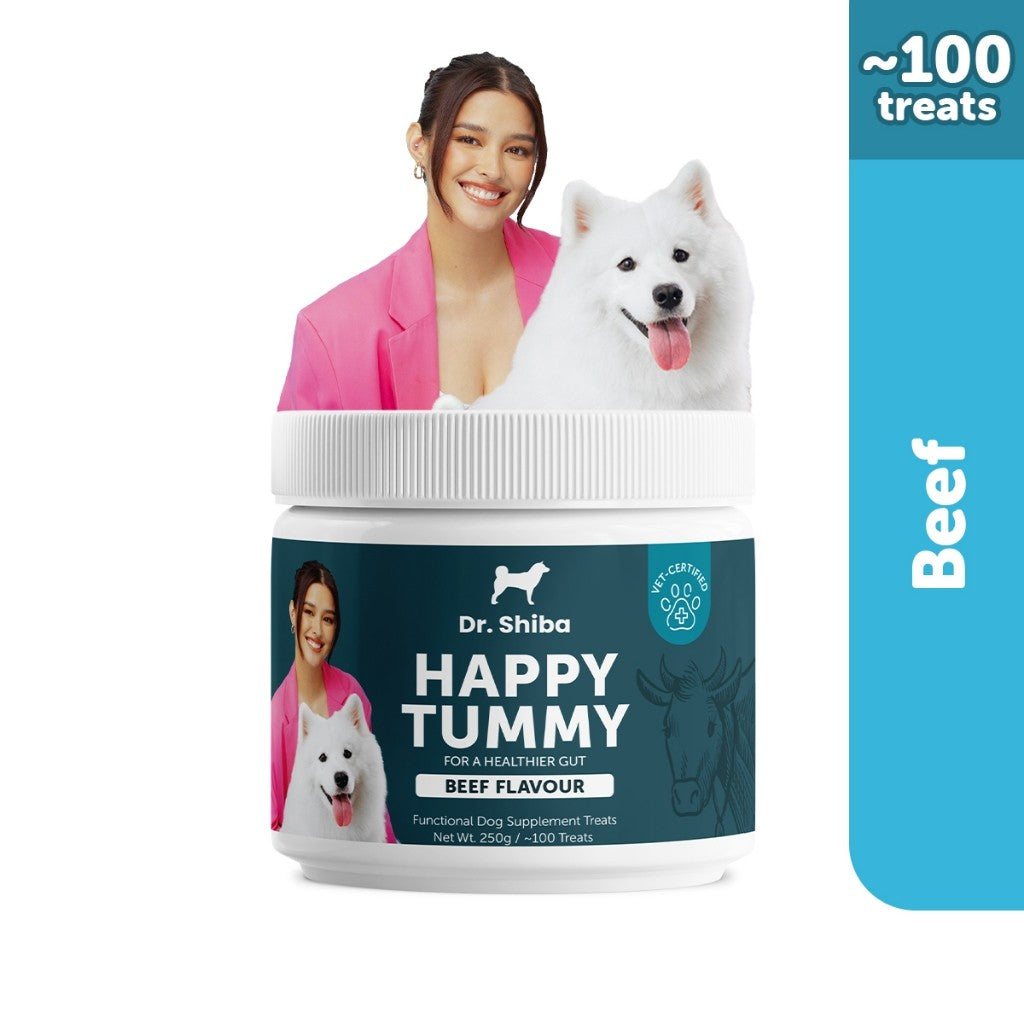 Dr. Shiba Happy Tummy Supplement Treats Beef Flavour 250g