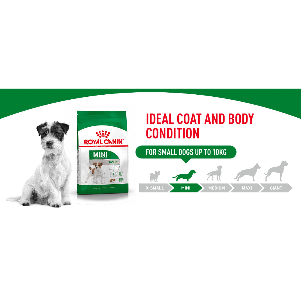 Royal Canin Mini Adult Dry Dog Food 800g