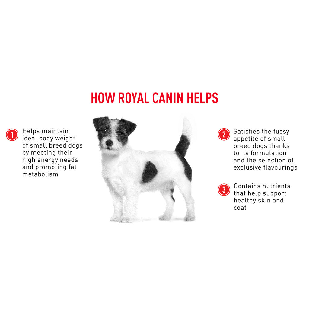 Royal Canin Mini Adult Dry Dog Food 800g