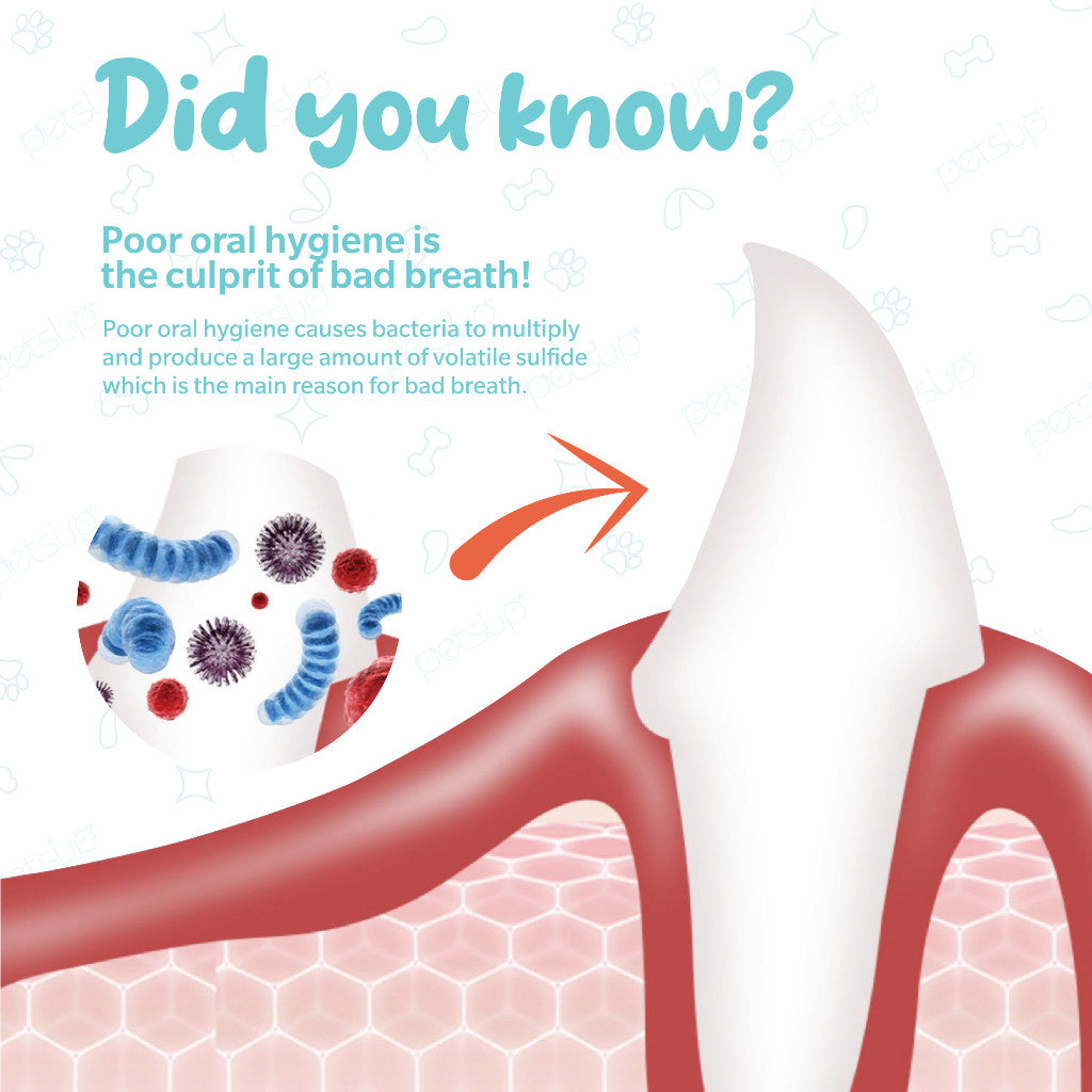Petsup Pet Oral Deodorant Spray 120ml – Dental & Mouth Care for Cats & Dogs