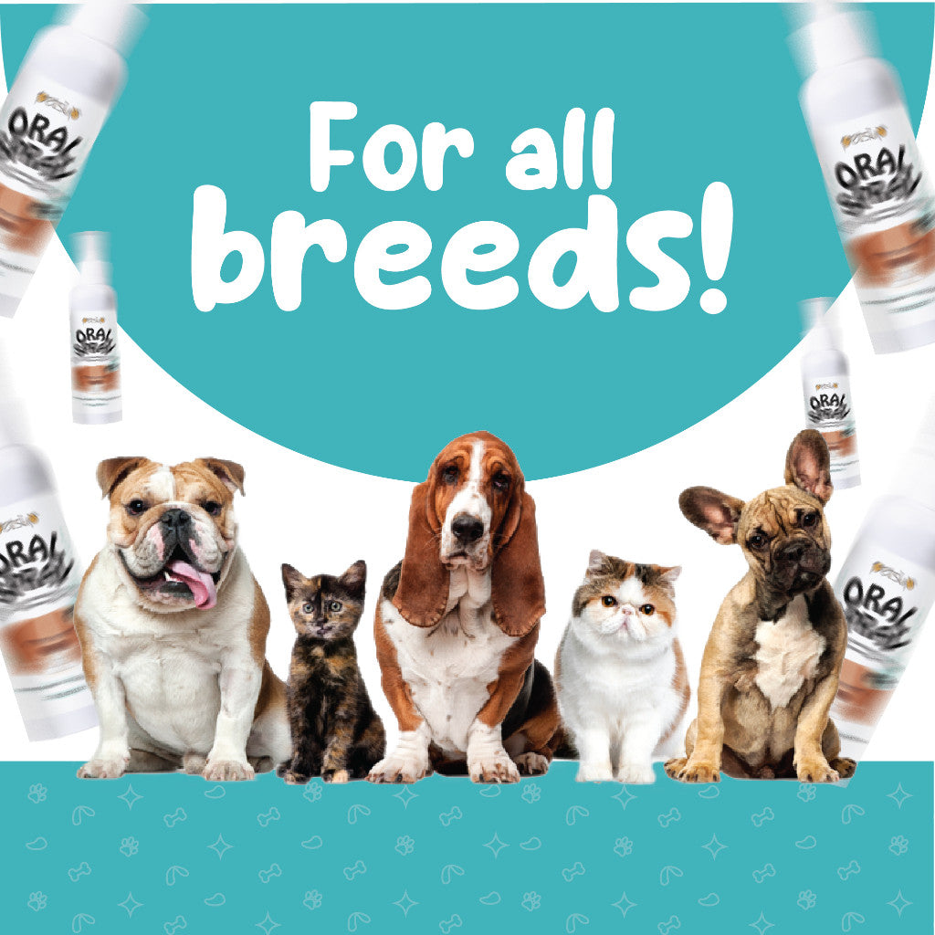 Petsup Pet Oral Deodorant Spray 120ml – Dental & Mouth Care for Cats & Dogs