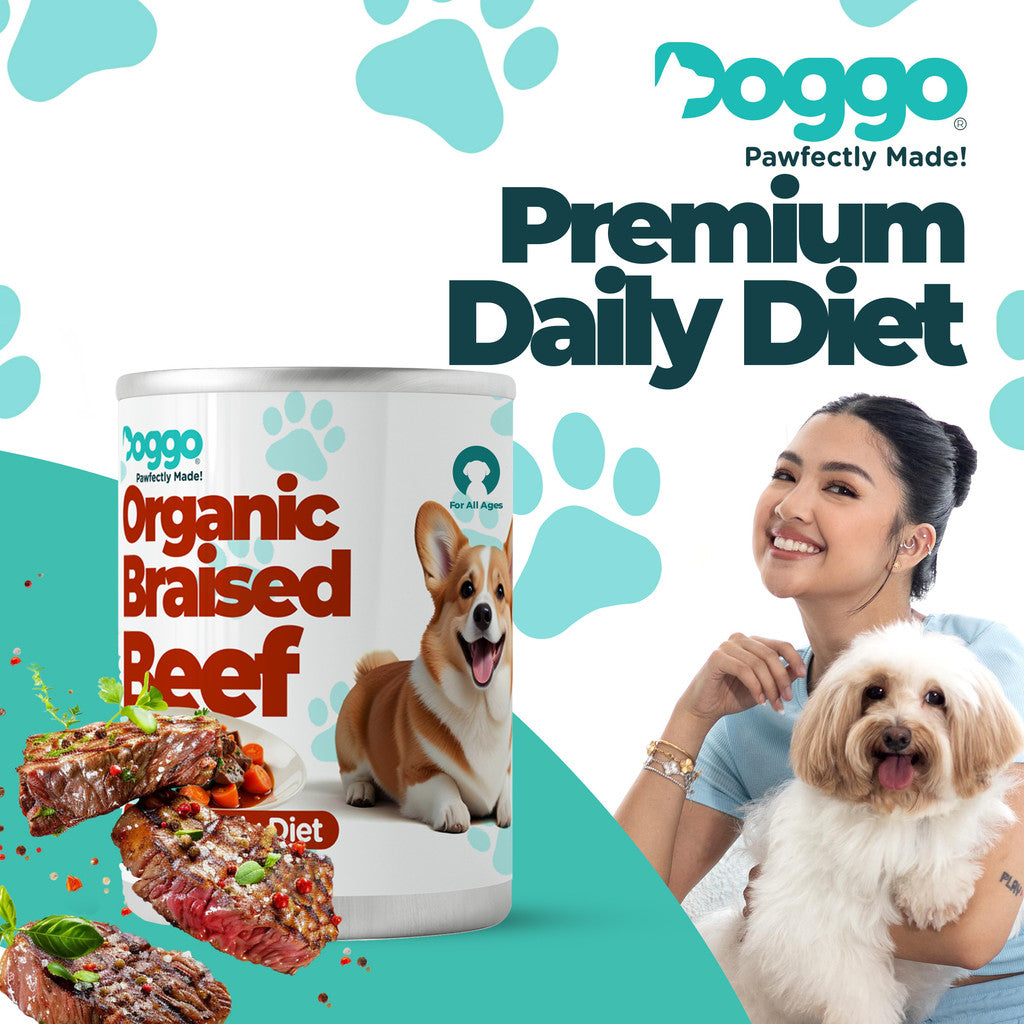 Doggo Organic Braised Beef Canned Dog Food 430g
