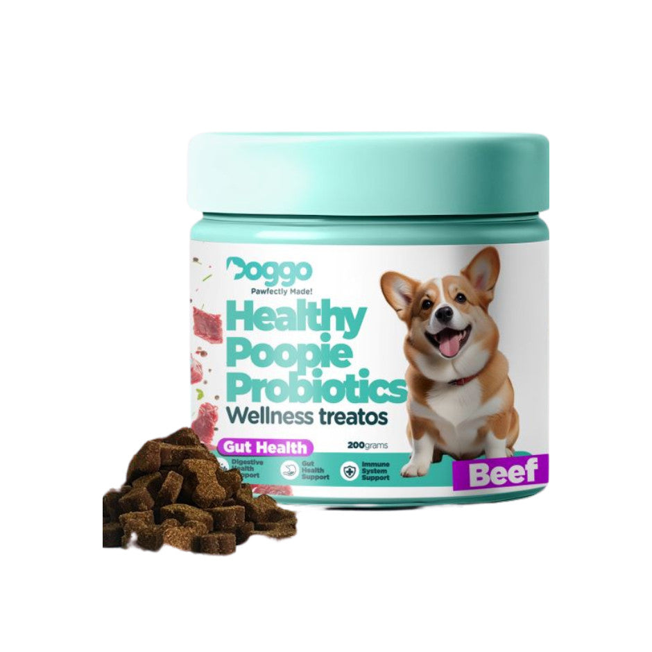 Doggo Wellness Treatos Healthy Dog Treats 200g (All 4 Variants)
