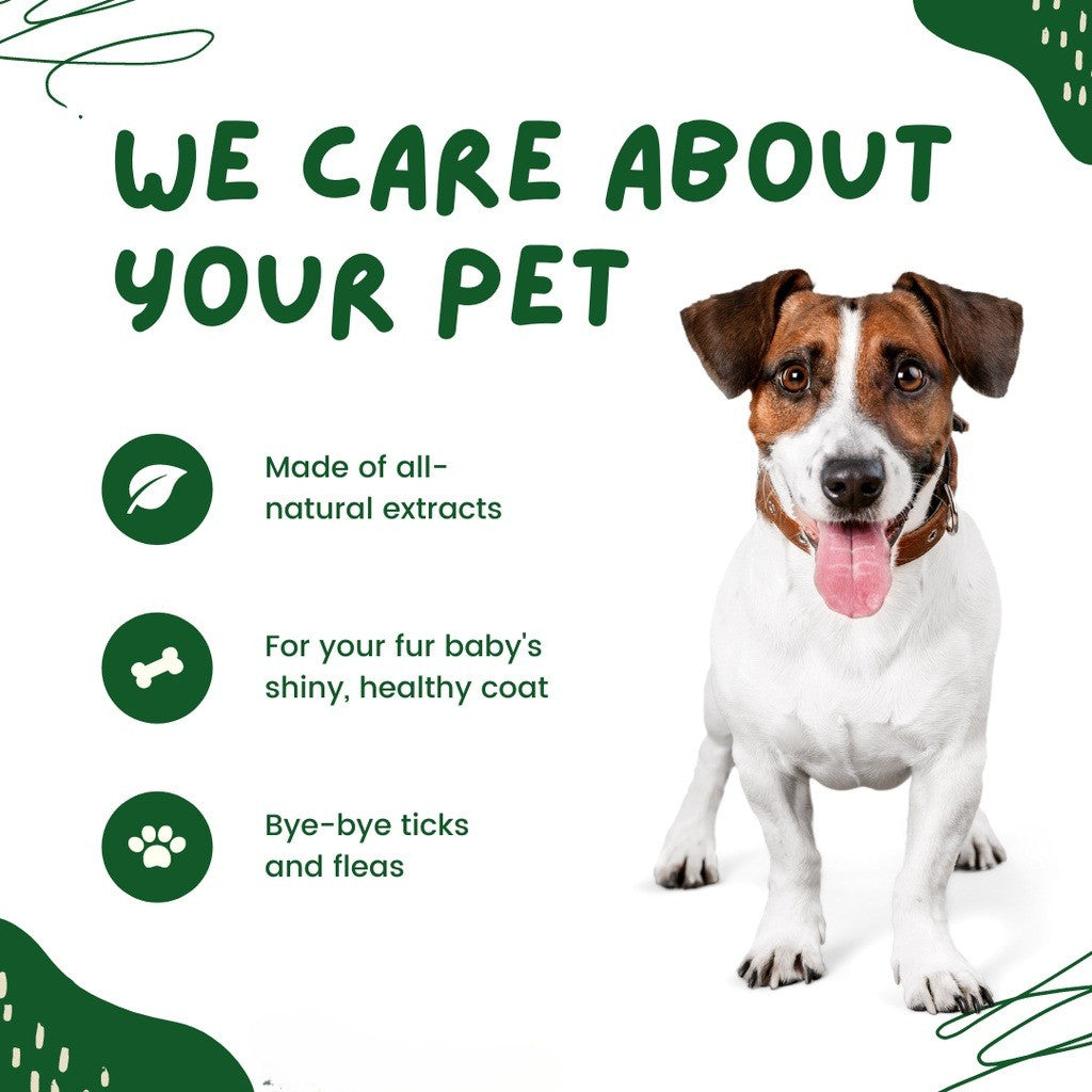 Madre De Cacao PH Premium Pet Shampoo with Conditioner